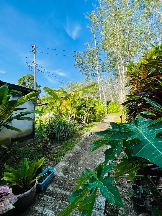 Lok Mun Bungalows Ko Yao Noi Εξωτερικό φωτογραφία